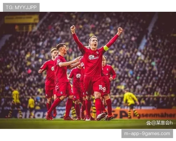 勒沃库森门将布拉斯维奇称判罚难以理解，欧冠尺度遭质疑